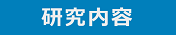 研究内容